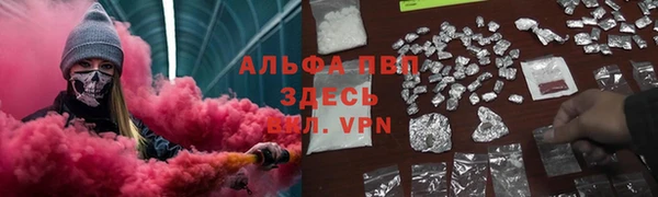 PSILOCYBIN Михайлов
