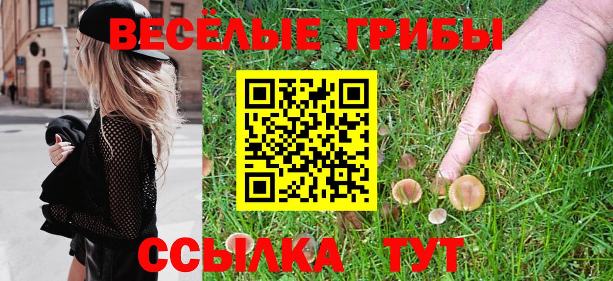 что такое наркотик  Зеленодольск  Псилоцибиновые грибы GOLDEN TEACHER 