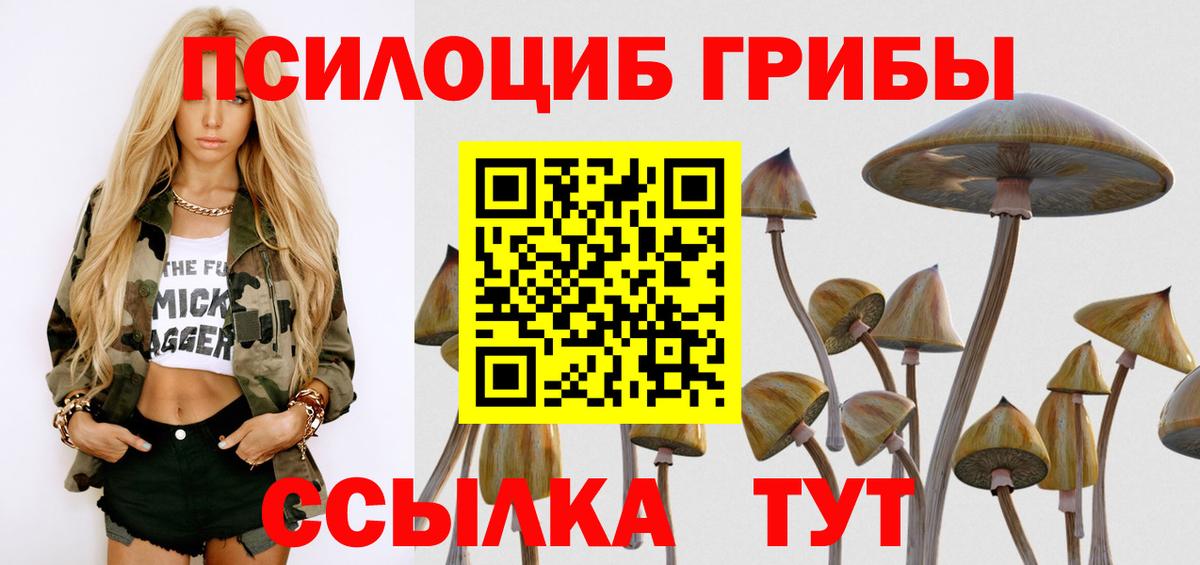 цены   Вход с VPN  Зеленодольск  Галлюциногенные грибы прущие грибы 